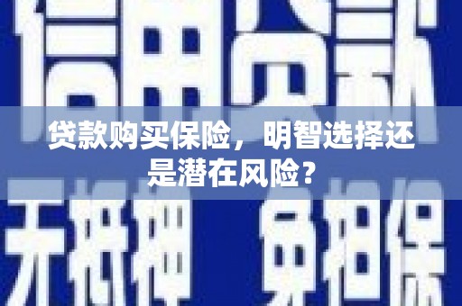 龙岗贷款购买保险，明智选择还是潜在风险？