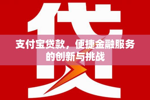 龙岗支付宝贷款，便捷金融服务的创新与挑战