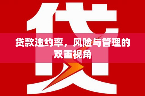 龙岗贷款违约率，风险与管理的双重视角