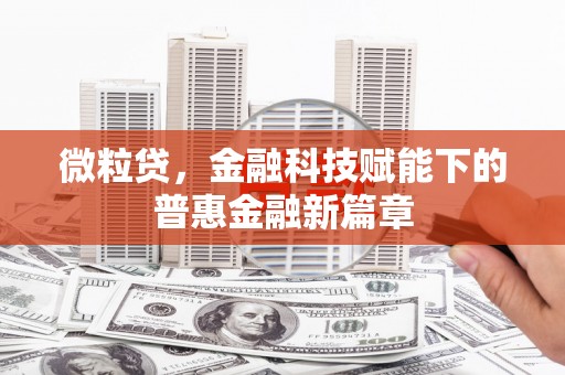 龙岗微粒贷，金融科技赋能下的普惠金融新篇章