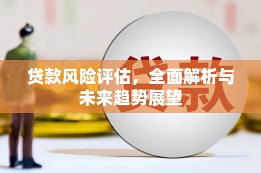 龙岗贷款风险评估，全面解析与未来趋势展望