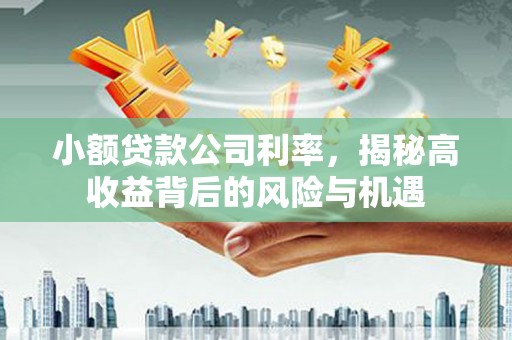 龙岗小额贷款公司利率，揭秘高收益背后的风险与机遇