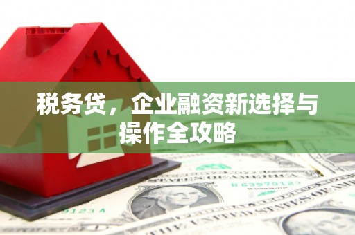 龙岗税务贷，企业融资新选择与操作全攻略