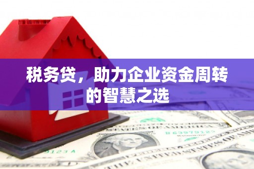 龙岗税务贷，助力企业资金周转的智慧之选