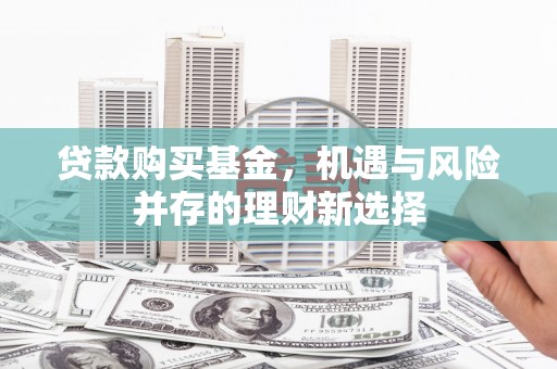 龙岗贷款购买基金，机遇与风险并存的理财新选择