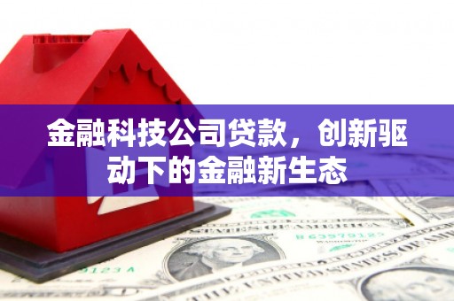 龙岗金融科技公司贷款，创新驱动下的金融新生态