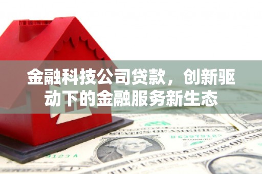 龙岗金融科技公司贷款，创新驱动下的金融服务新生态