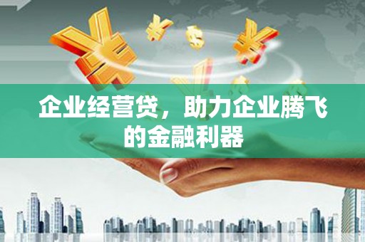 龙岗企业经营贷，助力企业腾飞的金融利器