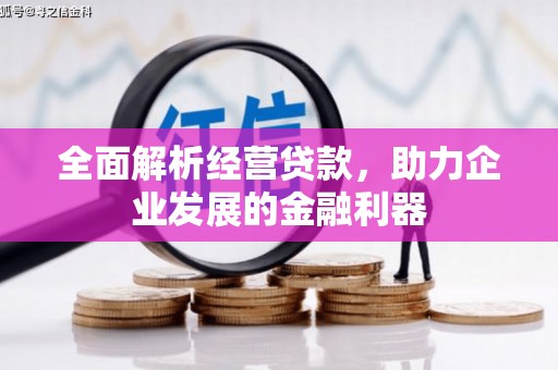 龙岗全面解析经营贷款，助力企业发展的金融利器