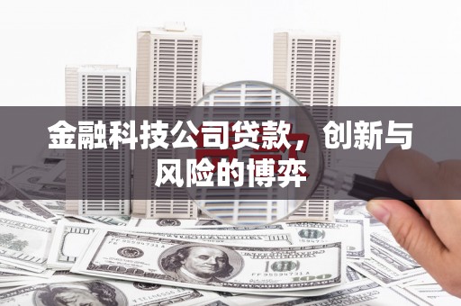 龙岗金融科技公司贷款，创新与风险的博弈