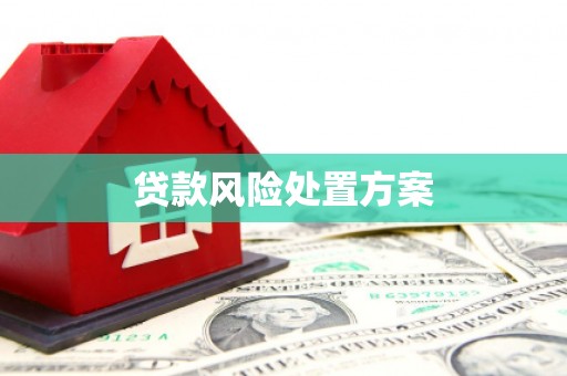 龙岗贷款风险处置方案