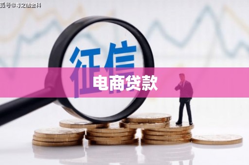 龙岗电商贷款