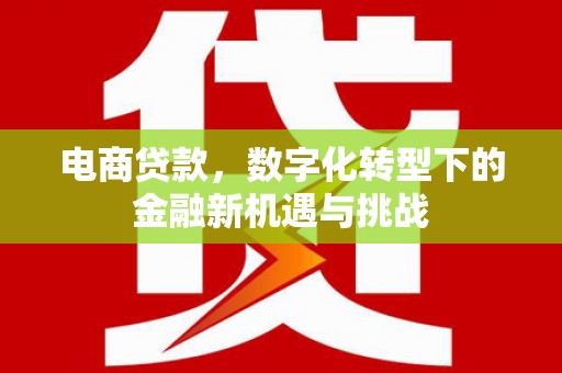 龙岗电商贷款，数字化转型下的金融新机遇与挑战
