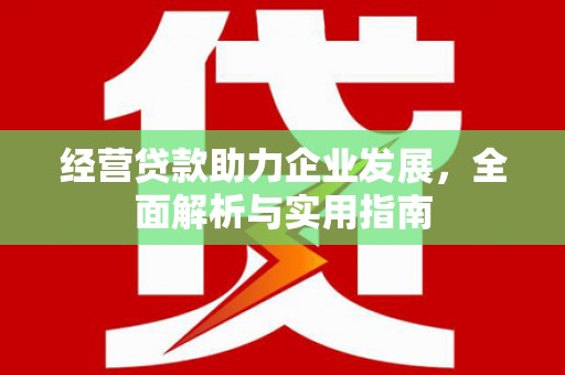 龙岗经营贷款助力企业发展，全面解析与实用指南
