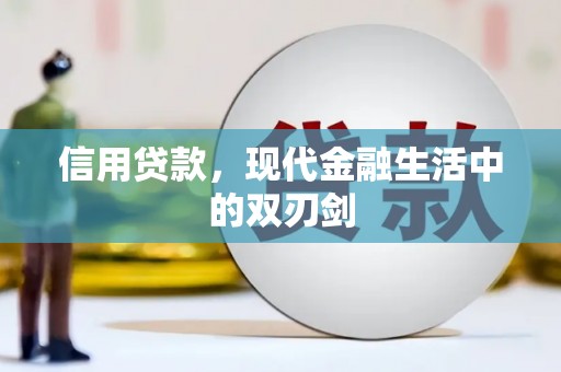 龙岗信用贷款，现代金融生活中的双刃剑