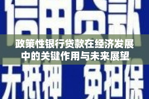 龙岗政策性银行贷款在经济发展中的关键作用与未来展望