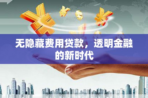 龙岗无隐藏费用贷款，透明金融的新时代