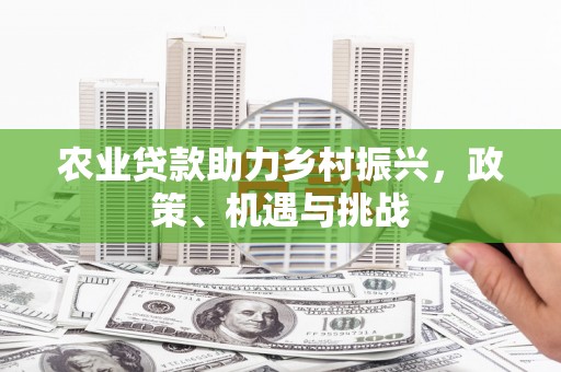 龙岗农业贷款助力乡村振兴，政策、机遇与挑战