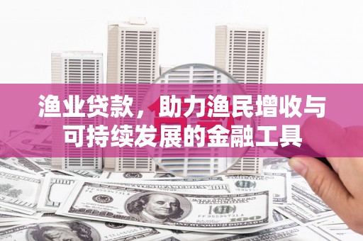 龙岗渔业贷款，助力渔民增收与可持续发展的金融工具
