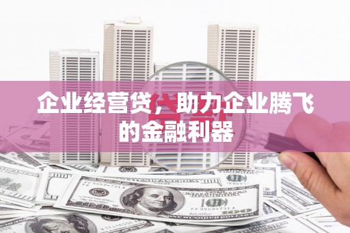 龙岗企业经营贷，助力企业腾飞的金融利器