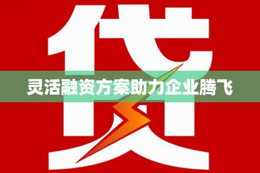 龙岗灵活融资方案助力企业腾飞