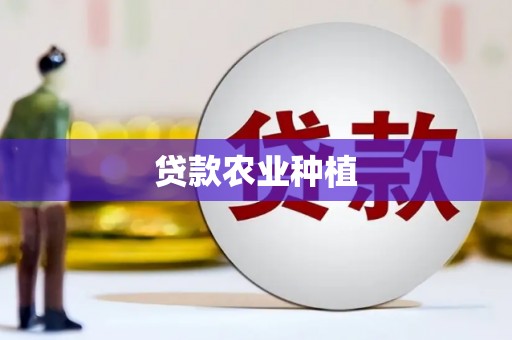 龙岗贷款农业种植