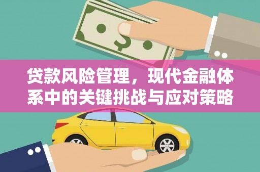 龙岗贷款风险管理，现代金融体系中的关键挑战与应对策略
