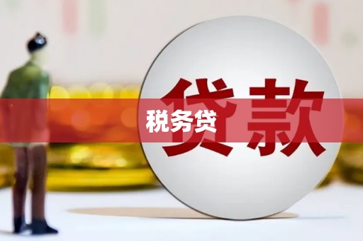 龙岗税务贷
