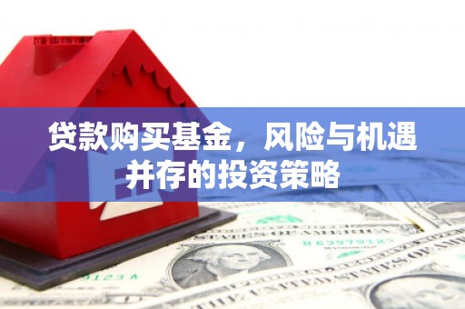 龙岗贷款购买基金，风险与机遇并存的投资策略