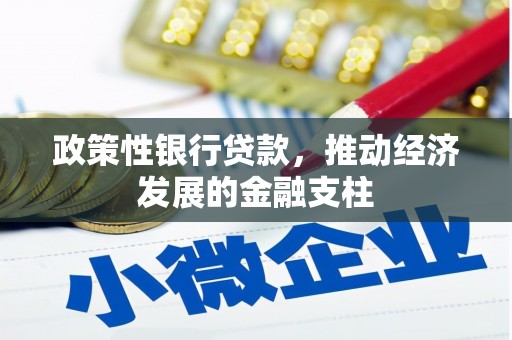 龙岗政策性银行贷款，推动经济发展的金融支柱