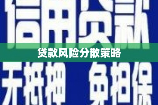 龙岗贷款风险分散策略