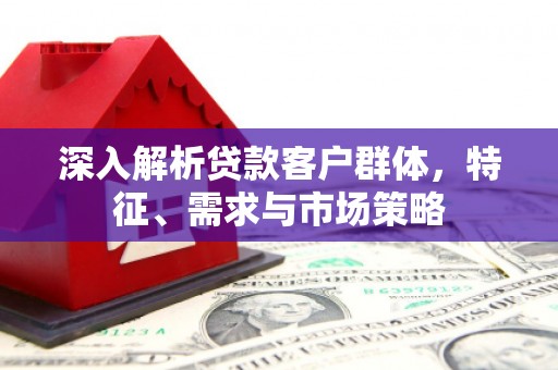 龙岗深入解析贷款客户群体，特征、需求与市场策略