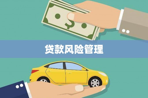 龙岗贷款风险管理