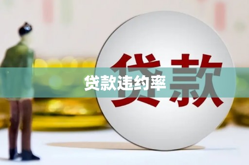 龙岗贷款违约率