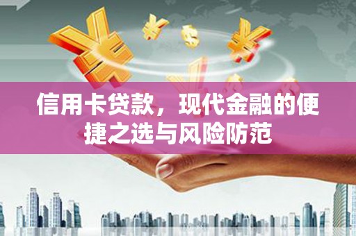 龙岗信用卡贷款，现代金融的便捷之选与风险防范
