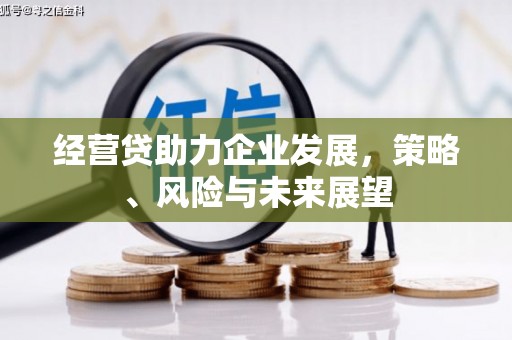 龙岗经营贷助力企业发展，策略、风险与未来展望