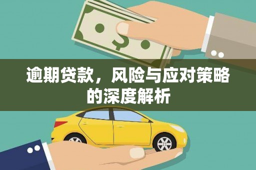 龙岗逾期贷款，风险与应对策略的深度解析