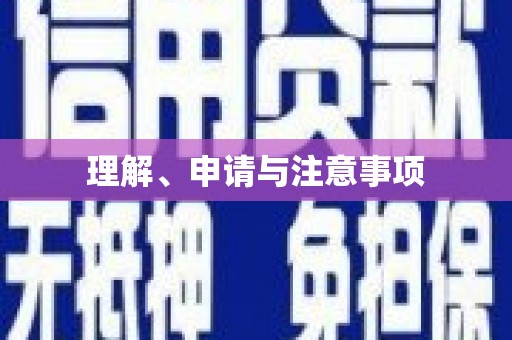 龙岗理解、申请与注意事项