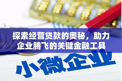 龙岗探索经营贷款的奥秘，助力企业腾飞的关键金融工具