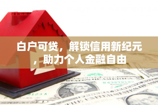 龙岗白户可贷，解锁信用新纪元，助力个人金融自由