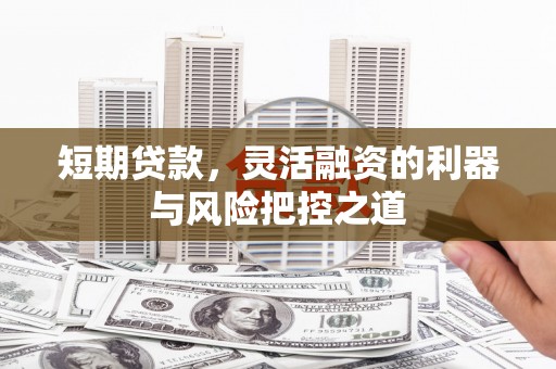 龙岗短期贷款，灵活融资的利器与风险把控之道
