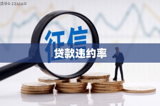 龙岗贷款违约率