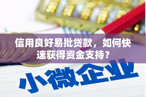 龙岗信用良好易批贷款，如何快速获得资金支持？