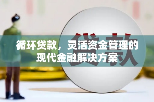 龙岗循环贷款，灵活资金管理的现代金融解决方案