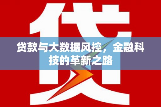 龙岗贷款与大数据风控，金融科技的革新之路