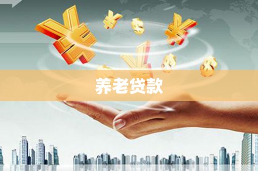 龙岗养老贷款