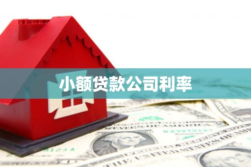 龙岗小额贷款公司利率