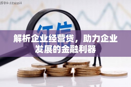 龙岗解析企业经营贷，助力企业发展的金融利器