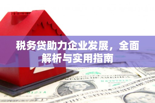 龙岗税务贷助力企业发展，全面解析与实用指南