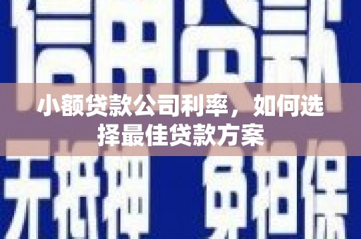 龙岗小额贷款公司利率，如何选择最佳贷款方案